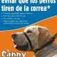 El Canny® Collar, El mejor collar para evitar que los perros tiren de la correa.

El Canny Collar es un collar para el entrenamiento de perros diseñado para que dejen de tirar de la correa y conseguir que el paseo sea tranquilo, Cómodo, agradable, seguro y efectivo. Su diseño revolucionario "detrás de la cabeza" es muy sencillo de ajustar y de usar, transformando hasta la mascota que más tira de la correa en una mascota feliz y bien educada. Es por ello que la Asociación de Venta de Productos para Mascotas del Reino Unido lo votó como "Mejor Producto Nuevo" poco tiempo después de su lanzamiento.

Si está buscando una solución sencilla para los problemas con su perro que tira de la correa, o desea prevenir a temprana edad este problema, no necesita buscar más que el Canny Collar. Estará en buena compañía. Únase a quienes han descubierto el placer de pasear a sus perros con la correa floja, relajada y sin tirones y consiga que el entrenamiento para su perro sea fácil.