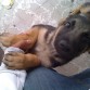 hitler a los 3 meses