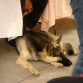 aqui me agarraron en la baba jajaja (busco novia)