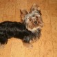 mi chicooo sonrieeee