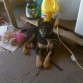 LAZARO CON 2 MESES Y MEDIO