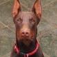 URKO 8 MESES