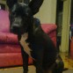 mi nala de 6 meses 