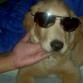 Super Star