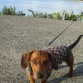 De paseo por la Costanera de Valdivia, hacia frio asi que me puse mi chompa ... :) 