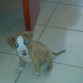 migordo