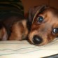 Con carita de ternura