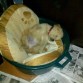 Durmiendo Fresco!