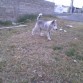 3meses