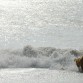 Es hermoso correr en el mar