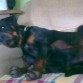 como molo y estoy muy comodo,jajajajaja