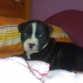 Noa con 28 dias