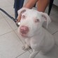 foto actual tiene 2 meses y medio.