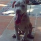 a los 4 meses