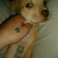 dicxyy juguetona