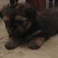 Moana a sus 2 meses 