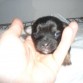 mi nueva nena  :-)