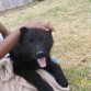Yo y mi dueña acariciandome