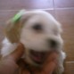 Mi Beiiiaa CeloZa♥
