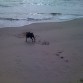 disfrutando de un dia de playa!!