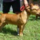 DRAKO DE PMC
A LO QUE QUIERO LLEGAR CON ASLAN