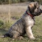 Truco a los 3 meses