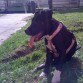 TAYS 4 MESES