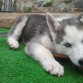 3 meses!