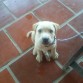TENIA 2 MESES