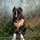 Kimbo con 3 meses