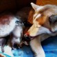 la mama de yuky =) 