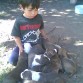 CAMADA DE HERMOSOS CACHORROS