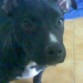 Doni con 3 meses