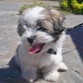 Tina :D(L)