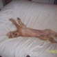 DADDY HECHANDO LA SIESTA JAJJAJ