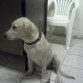 Esperando que la perdonen.. ja!! (6 meses)