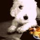 con mi peluchote :)