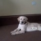 Empezando a ubicar su sitio en la casa (2 1/2 meses)