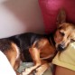 Cuca durmiendo en el hombro de mama