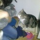 orion con lola la coneja