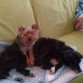 Aquí estoy con Nana , me gusta mucho dormir con ella.