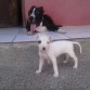 nina y jack