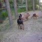 CON NANU Y FLIPY EN EL BARRANCO DE LA HOZ