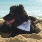 disfrutando de la arena de la playa....