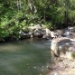 Saltando al agua