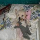 durmiendo con mis peluches
