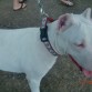 de paseo por el Parque