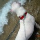 me encanta la playa