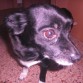 laila tiene 8 añitos
