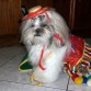 Mii Romera preciosaa!